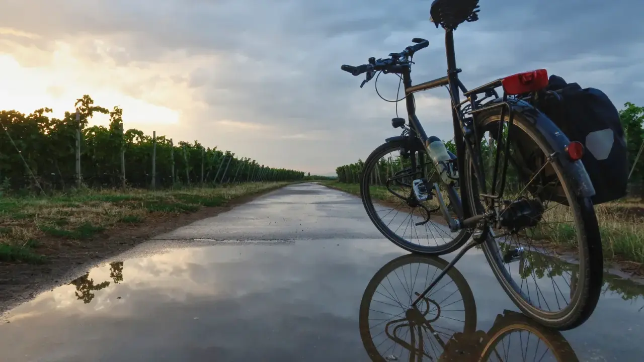 Fahrrad mit Rohloff-Schaltung am Abend. Die Nachteile der Rohloff-Schaltung sind bei dieser Tour durch Weinberge nicht ersichtlich.