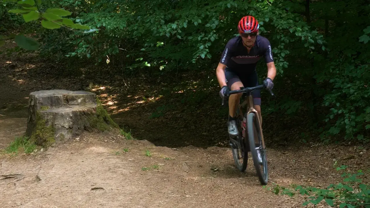Radfahrer auf einem gravel dm-Pfad im Wald, mit einem Baumstumpf im Vordergrund.