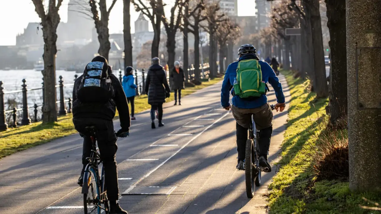 Genießen Sie eine entspannte **Rhein Fahrradtour** entlang des Ufers. Die Sonne wirft lange Schatten auf den Weg.