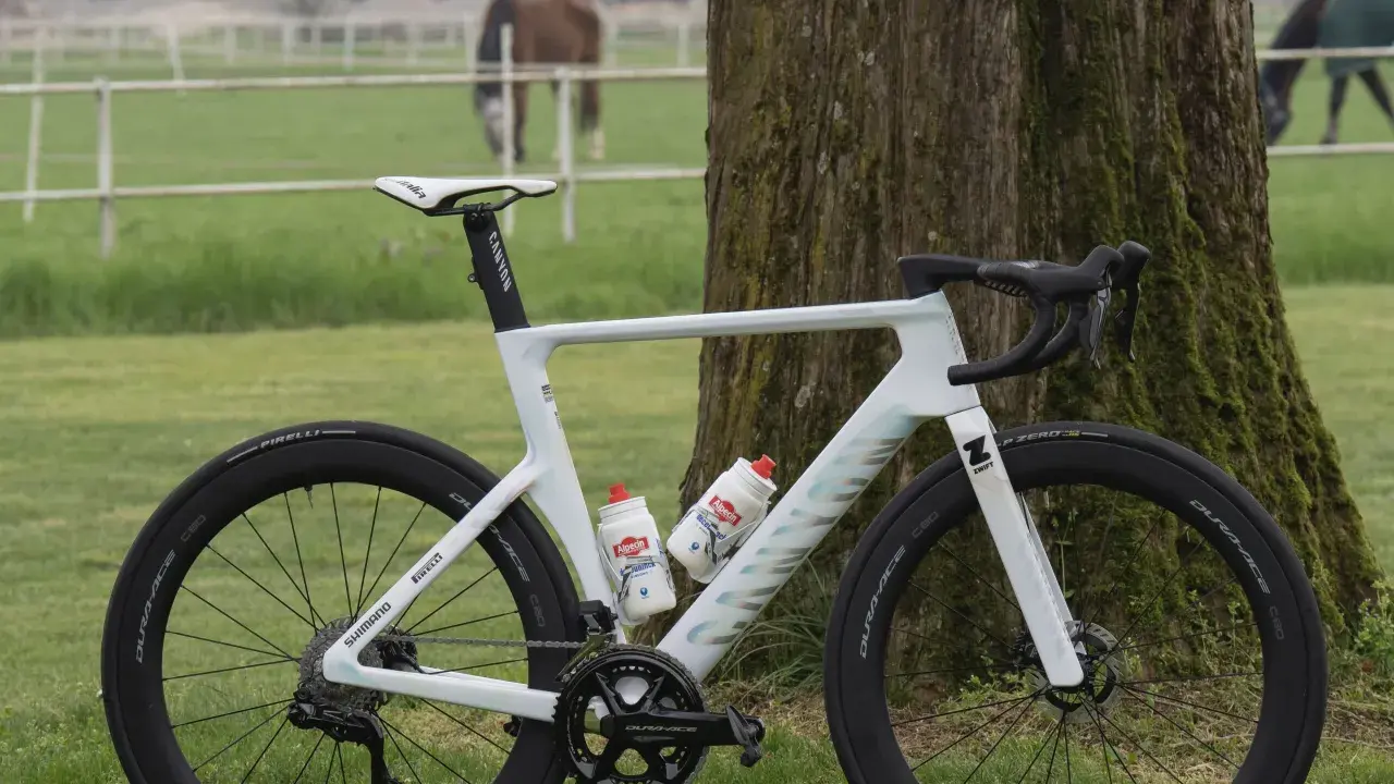 Mathieu van der Poel's white Canyon bike, ready for a race, stands by a tree. Horses graze in the background.