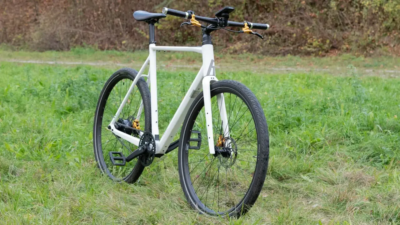 Ein weißes Rose Sneak Plus Fahrrad steht auf einer grünen Wiese. Goldene Akzente an den Bremsen und der Nabe.