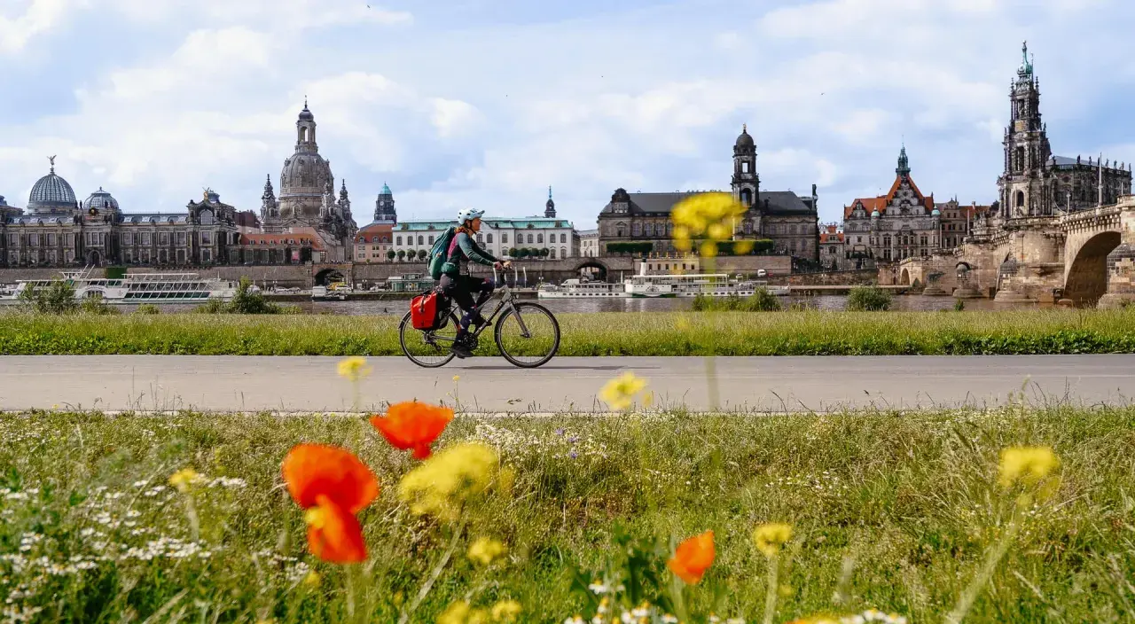 Frau auf Fahrradtour Dresden, mit der Elbe und der beeindruckenden Skyline im Hintergrund. Blumen blühen am Wegesrand.