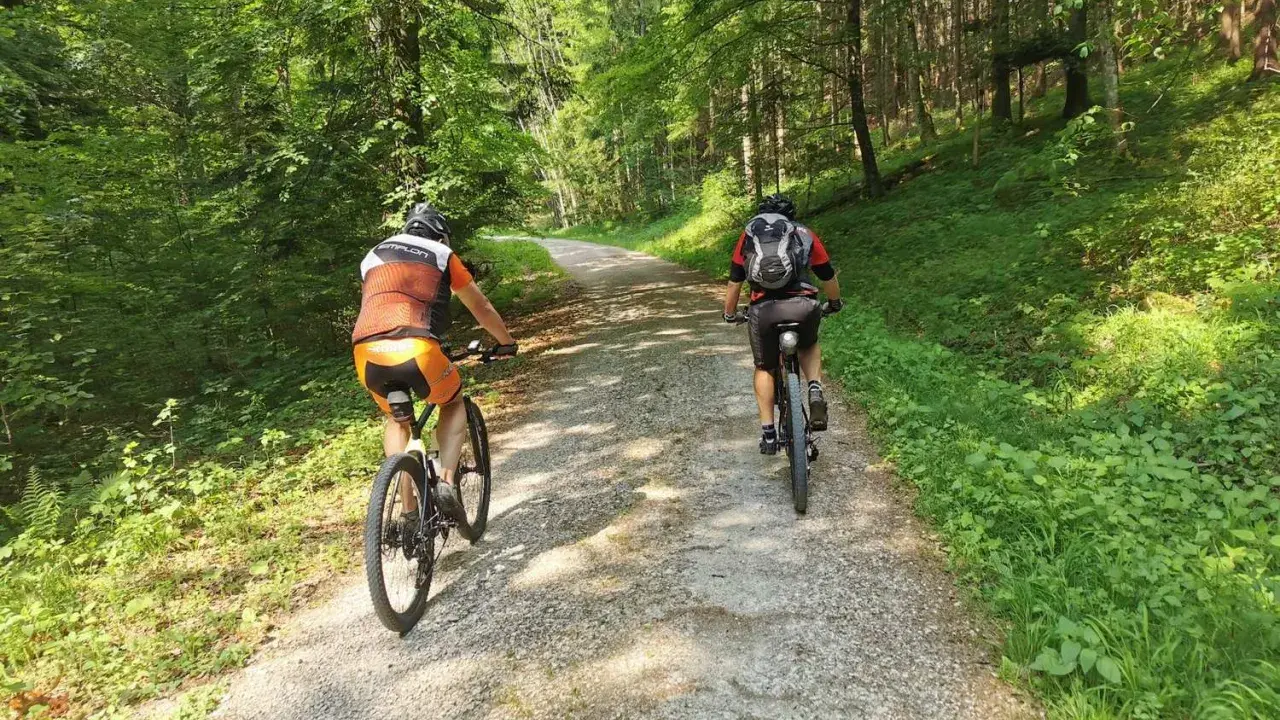 Zwei Radfahrer genießen eine Gravel Tour durch einen sonnigen Wald in Deutschland.