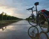 Fahrrad mit Rohloff-Schaltung am Abend. Die Nachteile der Rohloff-Schaltung sind bei dieser Tour durch Weinberge nicht ersichtlich.