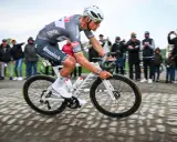 Radfahrer in voller Fahrt auf Kopfsteinpflaster, die Menge jubelt. Van de Poel gibt alles.