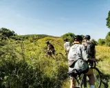 Vier Radfahrer auf einem Feldweg, die eine 360-Grad-Tour durch die Natur genießen.