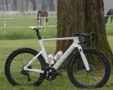 Mathieu van der Poel's white Canyon bike, ready for a race, stands by a tree. Horses graze in the background.