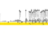 Streckenprofil der Flandern-Rundfahrt: Von Antwerpen nach Oudenaarde mit zahlreichen Anstiegen und Kopfsteinpflasterpassagen.