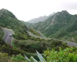 Serpentinenstraße auf Teneriffa, ideal für eine Rennradtour durch grüne Berge. Ein Auto fährt auf der kurvenreichen Straße.