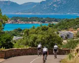 Drei Radfahrer genießen eine Tour mit dem **Korsika Rennrad** entlang der Küste mit türkisblauem Meer und Bergen im Hintergrund.