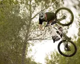 Tomas Lemoine fliegt mit seinem Mountainbike durch die Luft, umgeben von Bäumen.