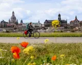 Frau auf Fahrradtour Dresden, mit der Elbe und der beeindruckenden Skyline im Hintergrund. Blumen blühen am Wegesrand.