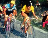 Eddy Merckx heute im Gelben Trikot, kämpft sich einen Berg hinauf. Fans jubeln am Straßenrand.