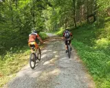 Zwei Radfahrer genießen eine Gravel Tour durch einen sonnigen Wald in Deutschland.