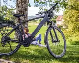 Fischer Viator 6.0i Test: Ein Mann entspannt sich im Schatten eines Baumes neben seinem E-Bike.