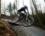 Tahnee Seagrave meistert eine steile Abfahrt im Wald.