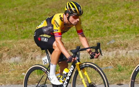 Radsportler in gelb-schwarzer Teamkleidung, der auf einem Rennrad fährt. Die Nummer 141 ist sichtbar. Ein Beispiel für professionelle cycling transfers.