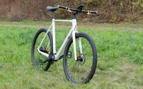 Ein weißes Rose Sneak Plus Fahrrad steht auf einer grünen Wiese. Goldene Akzente an den Bremsen und der Nabe.