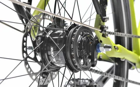 Nahaufnahme des Hinterrads eines Fahrrads mit einer Shimano Alfine 11 Nabenschaltung, Scheibenbremse und Kette.