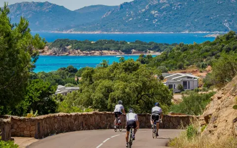 Drei Radfahrer genießen eine Tour mit dem **Korsika Rennrad** entlang der Küste mit türkisblauem Meer und Bergen im Hintergrund.