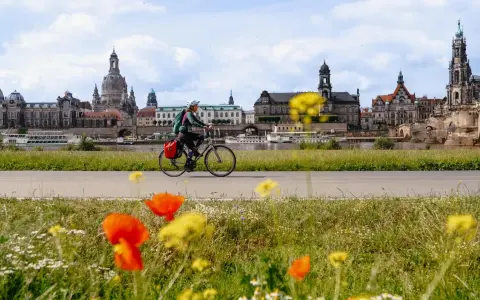 Frau auf Fahrradtour Dresden, mit der Elbe und der beeindruckenden Skyline im Hintergrund. Blumen blühen am Wegesrand.