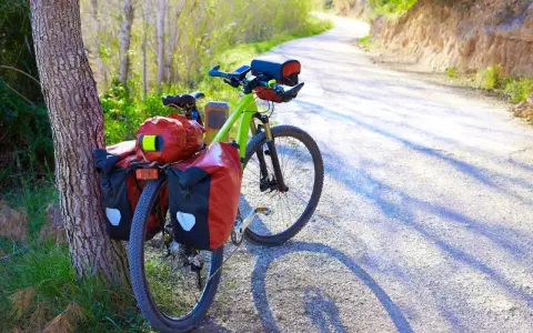 Ein grünes Trekkingrad mit roten Packtaschen steht am Wegesrand. Perfekt für Abenteuer, was ist ein Trekkingrad?