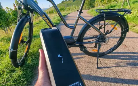 E-Bike Akku wird abgenommen, um das E-Bike zu reinigen. Die Sonne scheint auf die Weinberge.