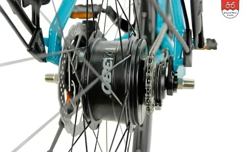 Nahaufnahme des Hinterrads eines Fahrrads mit einer Nuvinci Schaltung. Die Scheibenbremse und die Kette sind gut sichtbar.