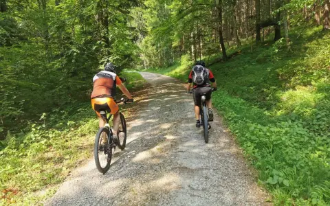 Zwei Radfahrer genießen eine Gravel Tour durch einen sonnigen Wald in Deutschland.