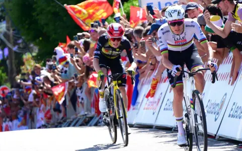Jonas Vingegaard im Kampf um den Sieg bei der Tour de France, umgeben von jubelnden Fans.