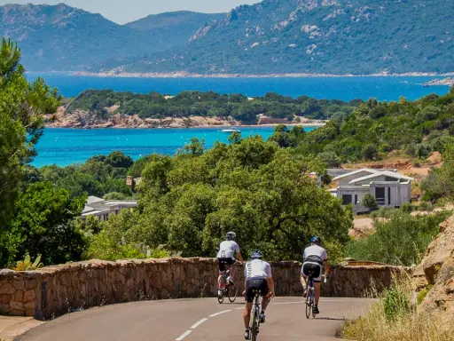 Drei Radfahrer genießen eine Tour mit dem **Korsika Rennrad** entlang der Küste mit türkisblauem Meer und Bergen im Hintergrund.