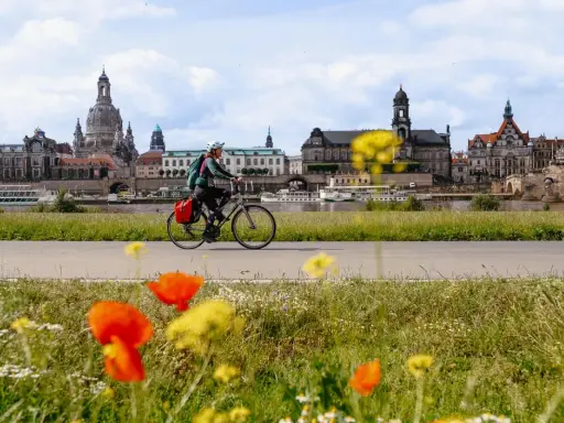 Frau auf Fahrradtour Dresden, mit der Elbe und der beeindruckenden Skyline im Hintergrund. Blumen blühen am Wegesrand.
