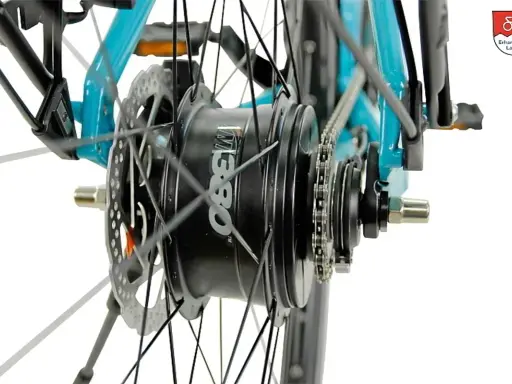 Nahaufnahme des Hinterrads eines Fahrrads mit einer Nuvinci Schaltung. Die Scheibenbremse und die Kette sind gut sichtbar.