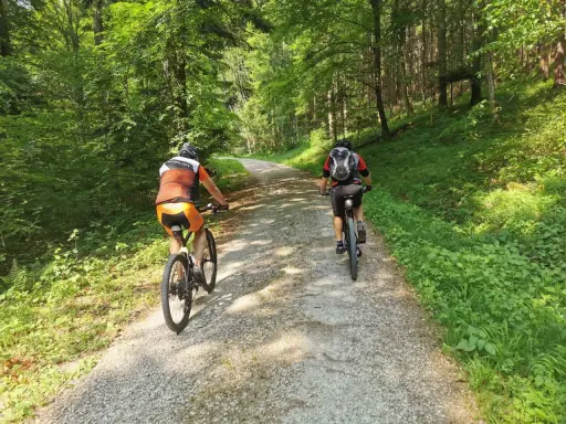 Zwei Radfahrer genießen eine Gravel Tour durch einen sonnigen Wald in Deutschland.