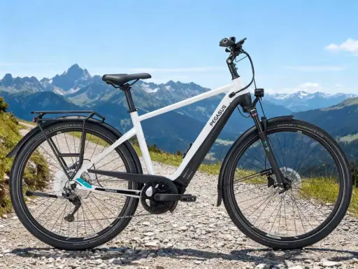 Ein weißes Pegasus E-Bike mit Gepäckträger steht auf einem Schotterweg vor einer Bergkulisse. Perfekt, um das E-Bike zu testen.