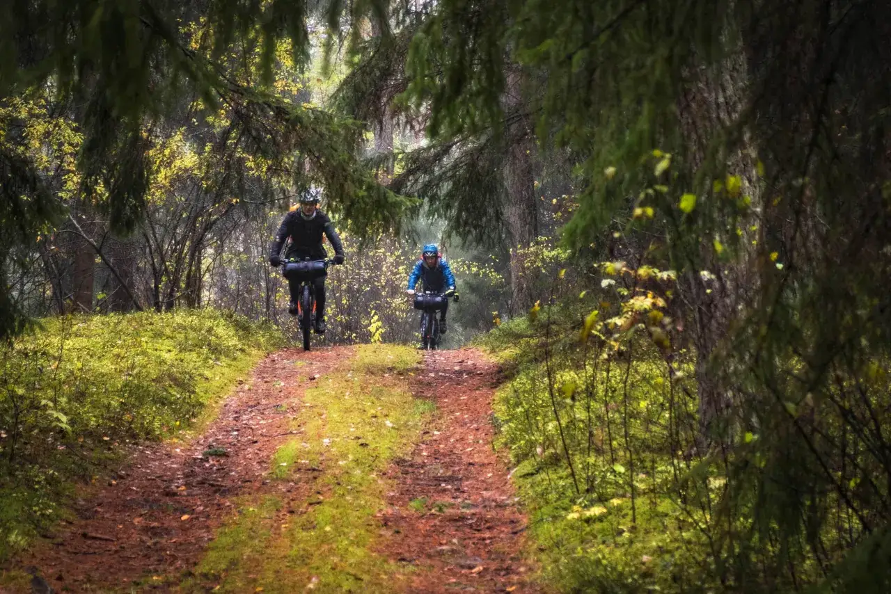 Zwei Radfahrer auf einem Waldweg, bereit für eine abc tour durch den Herbstwald.