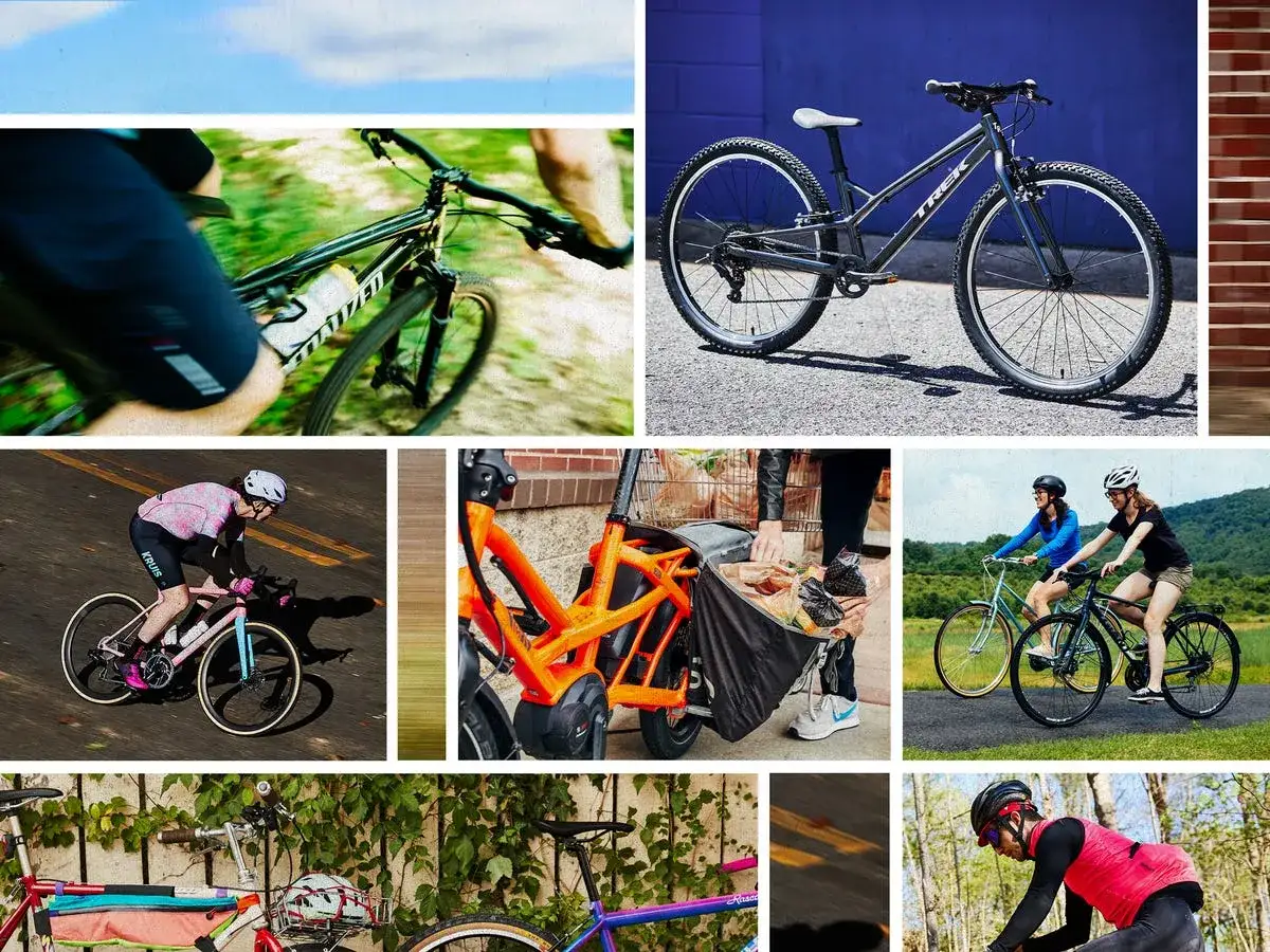 Vielfalt von Fahrrädern: Ein Crossbike, Rennrad, E-Bike mit Einkaufstasche und mehr.