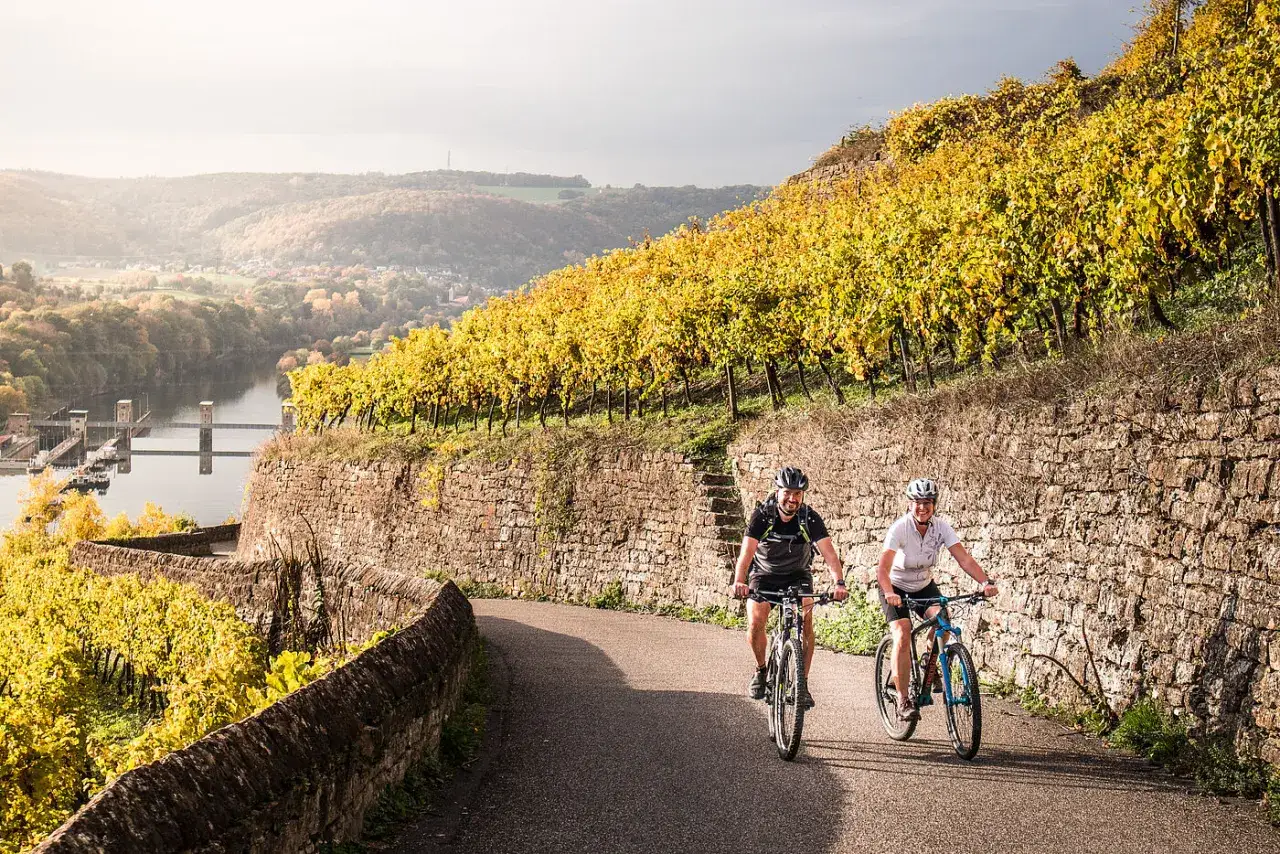 Ein Paar genießt eine malerische Radtour durch Weinberge bei Stuttgart. Die Herbstsonne taucht die Reben in goldenes Licht.