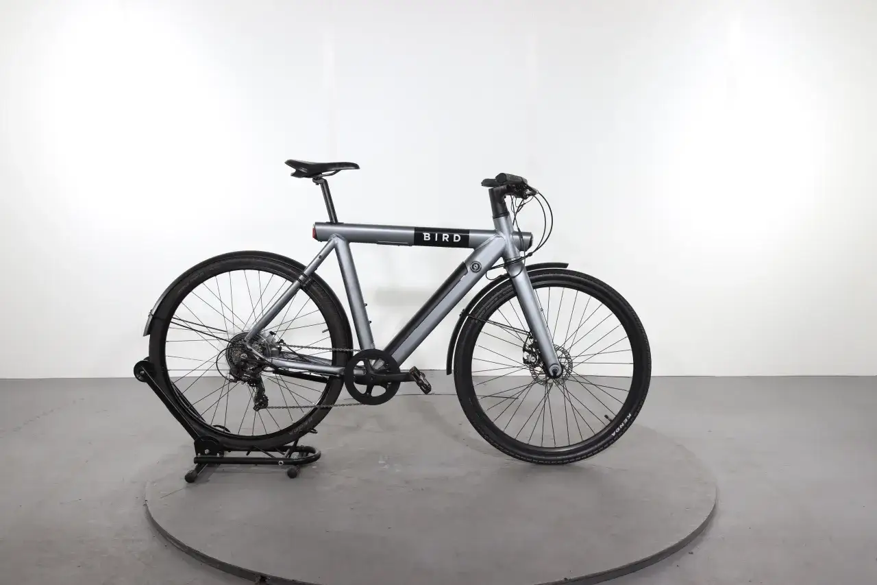 Graues Bird E-Bike mit Scheibenbremsen und Schutzblechen. Gute Bird Bike Erfahrungen sind mit diesem Modell garantiert.