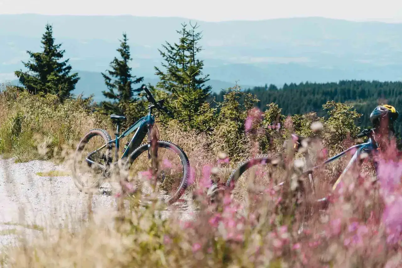 Zwei E-Bikes stehen auf einem Feldweg im Bayerischen Wald, bereit f&uuml;r spannende E-bike Touren.