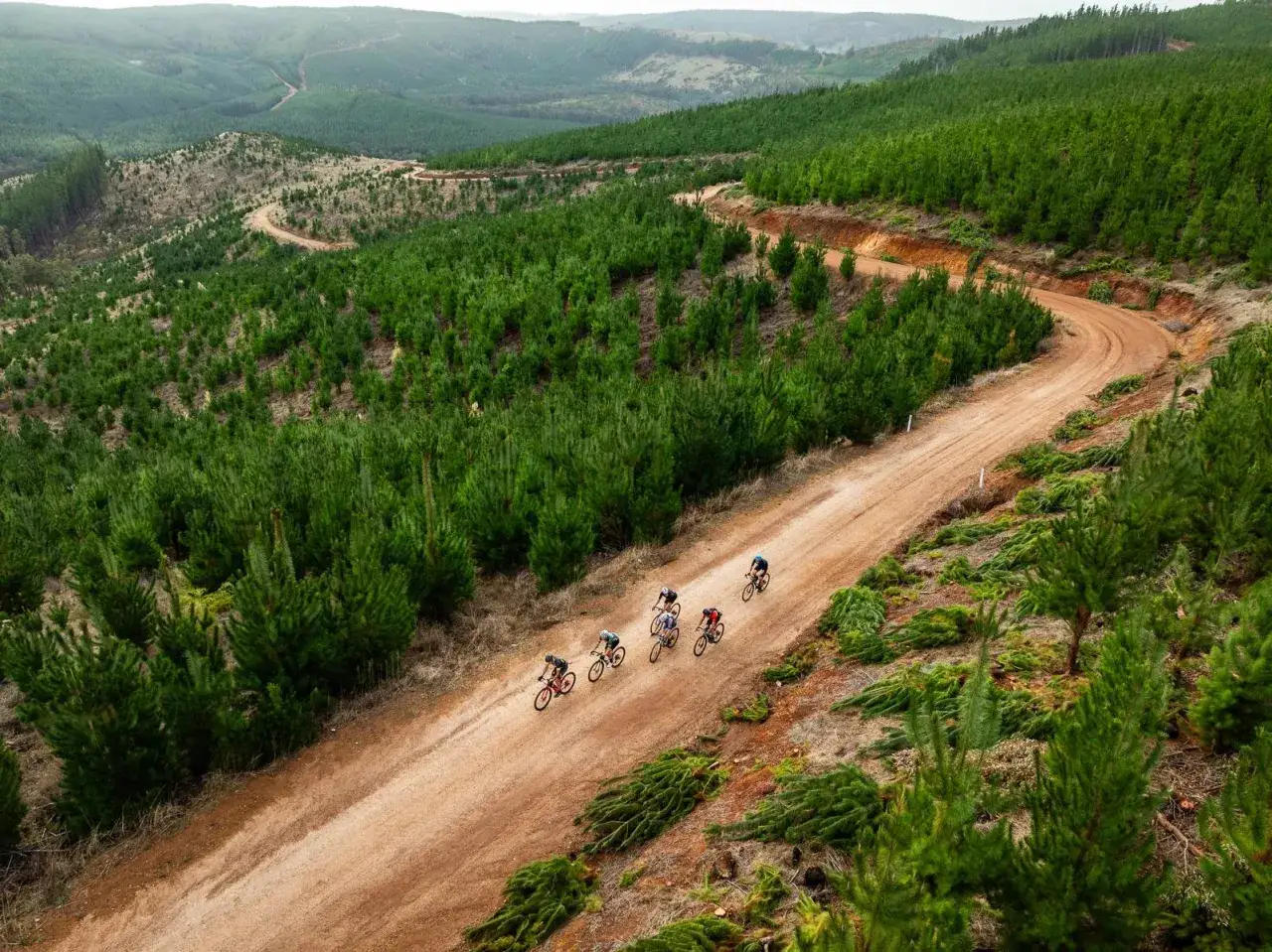 Fünf Radfahrer auf einem staubigen Gravel-WM-Kurs durch einen Pinienwald.
