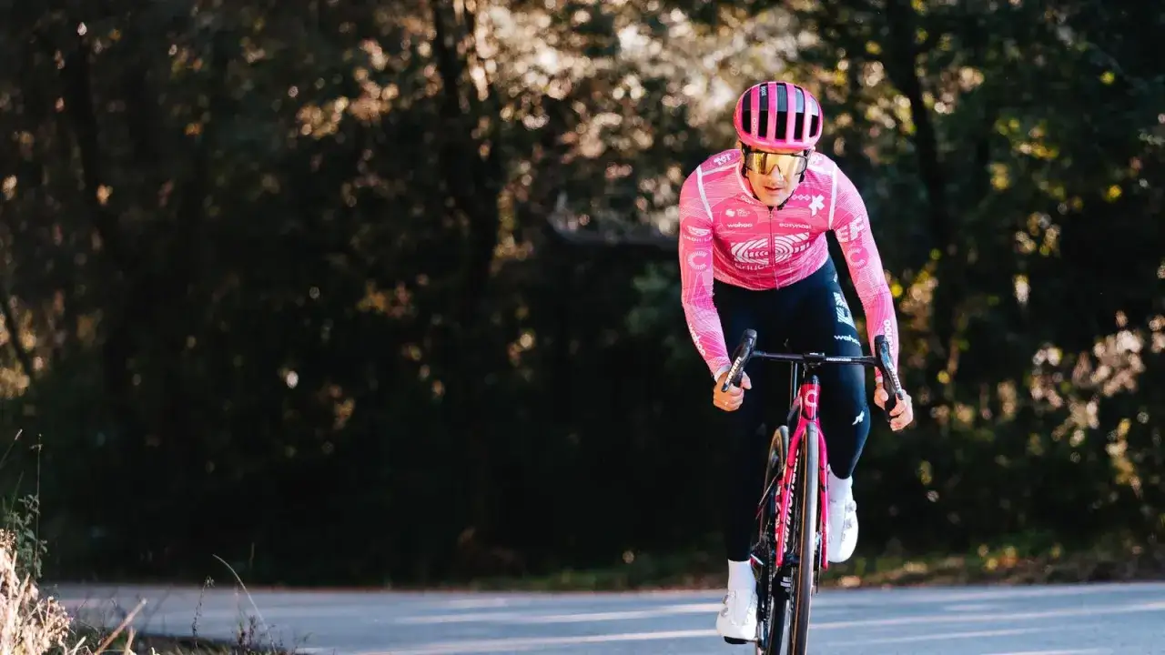 Radfahrer Harry Sweeny in pinkem Trikot fährt auf einem Rennrad durch eine sonnige Baumlandschaft.