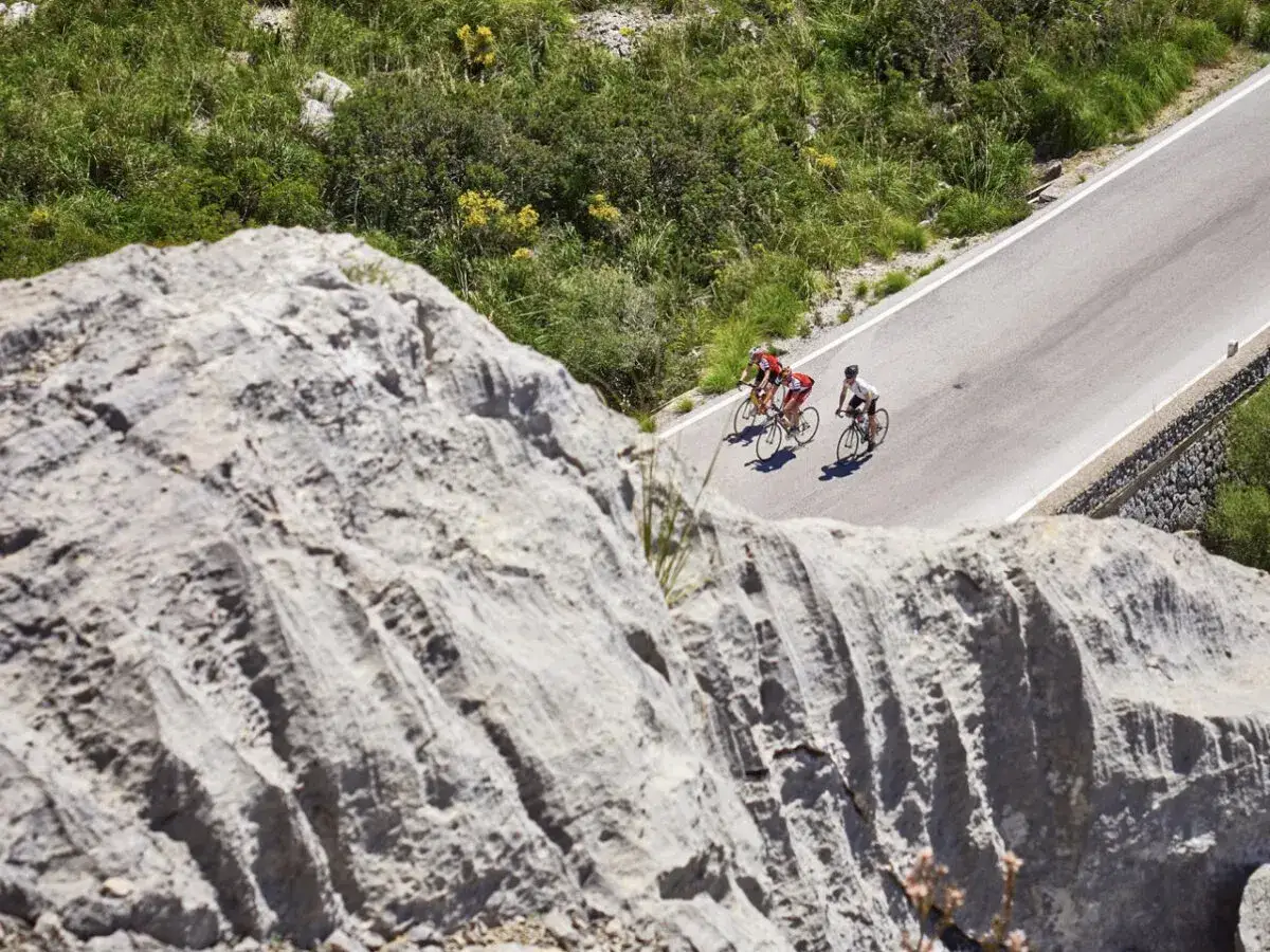 Drei Radfahrer auf einem Mallorca Rennrad-Ausflug auf einer kurvenreichen Bergstraße, umgeben von üppiger Vegetation und Felsen.