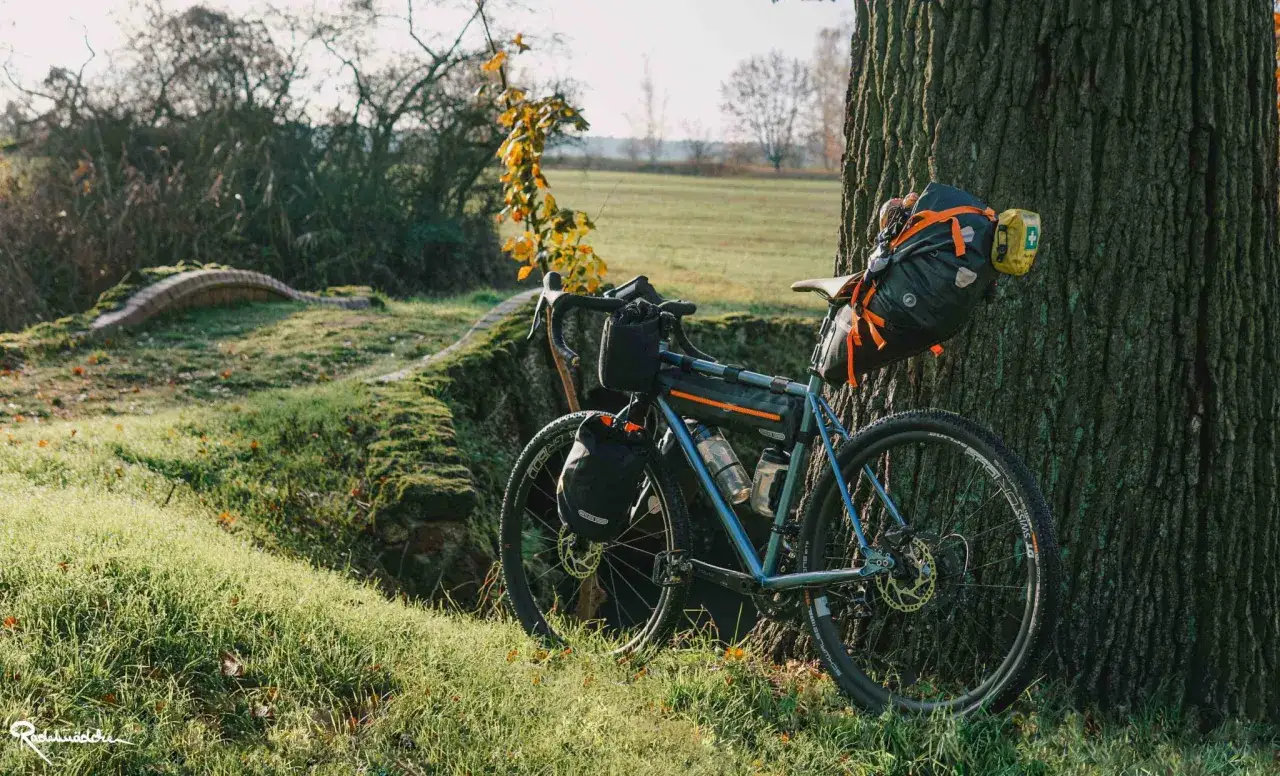 Rennrad für eine Mehrtagestour, beladen mit Gepäcktaschen, lehnt an einem Baum. Die Sonne scheint auf die grüne Wiese.